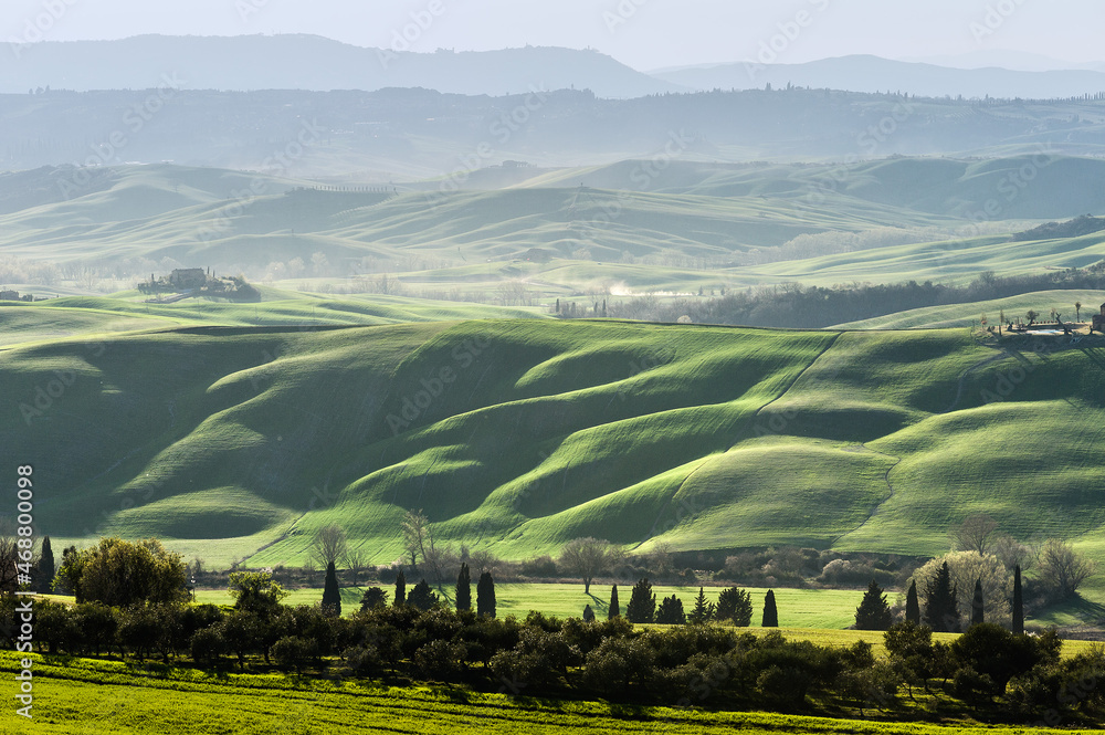 Obraz premium Val d'Orcia