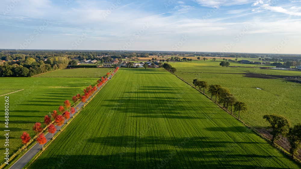 Naklejka premium Land or landscape of green field in aerial view. Include agriculture farm, house building, village. That real estate or property. Plot of land for housing subdivision, development, sale or investment