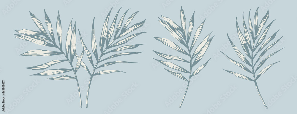 Palm leaves. Design elements in hand-drawn style. Vector illustration. Vintage blue color. Palm leaves. Design elements in hand-drawn style. Vector illustration. Vintage blue color.