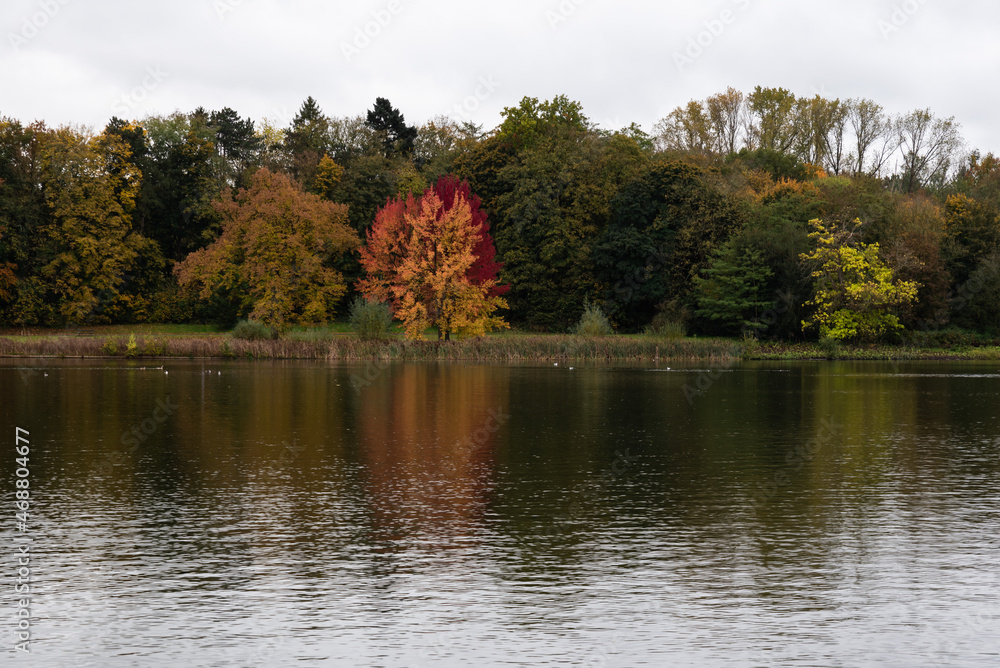 View over the water pond and colorful autumn trees of the city park