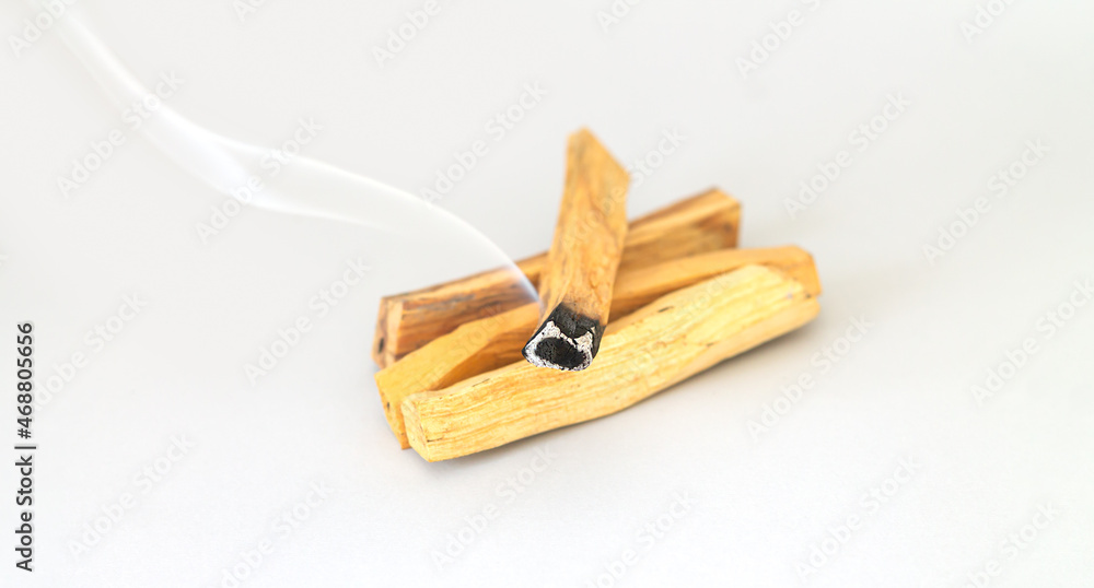 Palo santo holy tree stick burning with aroma smoke Palo santo holy tree stick burning with aroma smoke