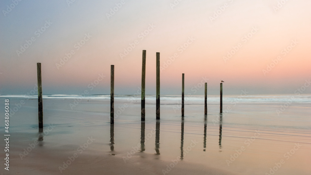 Ocean pilings at sunset on sandy beach with warm pink sky