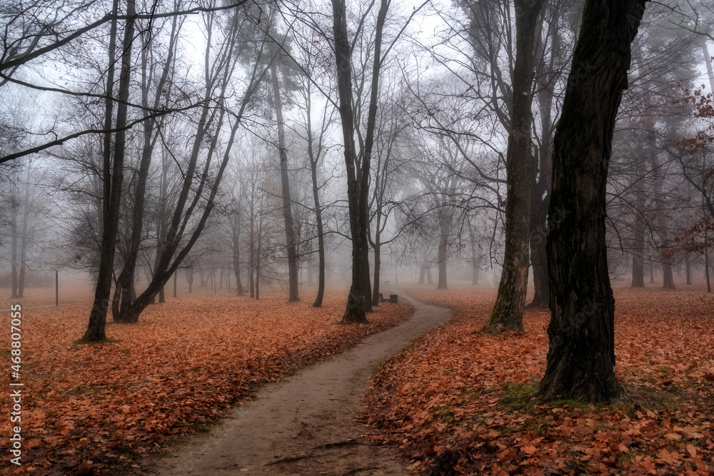 Magiczna, nostalgiczna, wielobarwna jesień, Podlasie, Polska Magiczna, nostalgiczna, wielobarwna jesień, Podlasie, Polska