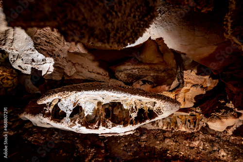 Boxwork formation inside Wind Cave National Park in the Black Hills of South Dakiota photo