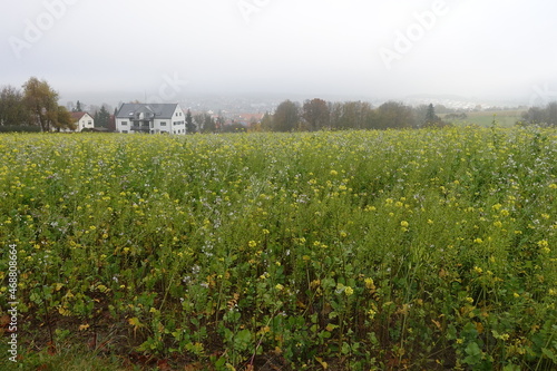 Herbstlandschaft in 86653 Monheim