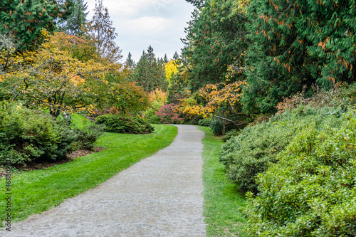 Washington Park Arboretum Autumn Path 10