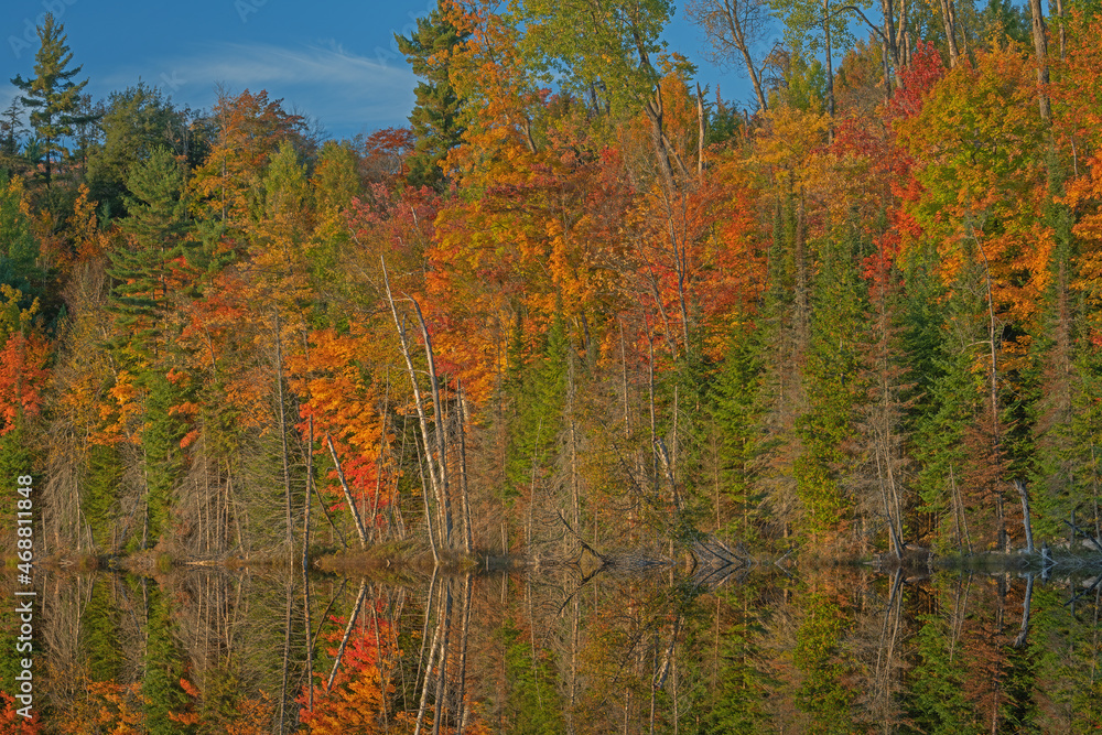 Autumn landscape of Scout Lake with mirrored reflections of colorful foliage in calm water, Hiawatha National Forest, Michigan's Upper Peninsula, USA