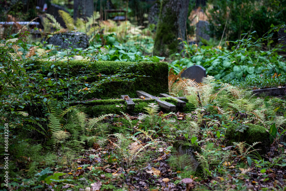 Obraz premium old abandoned cemetery in Latvia with falen crosses and damaged gravestones. Ground overgrown with moss and ferns