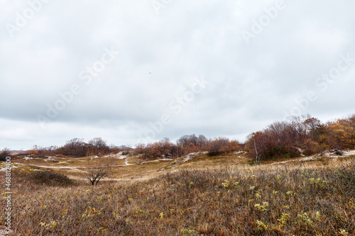 autumn landscape in the forest