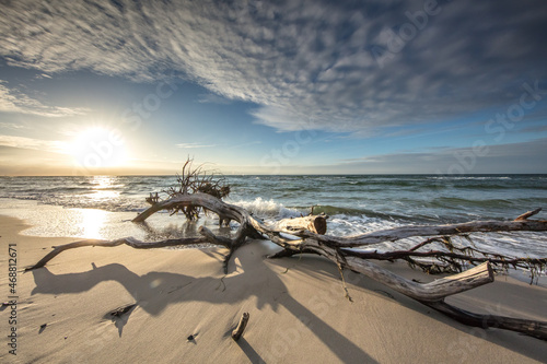 Fototapeta Naklejka Na Ścianę i Meble -  küste