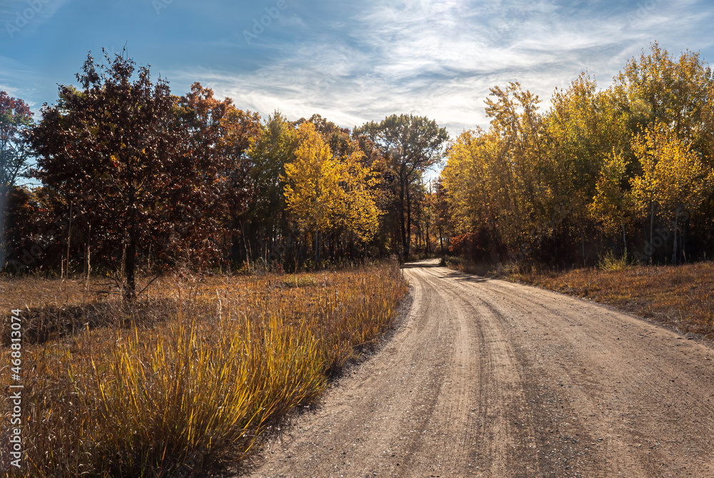 A country road leads through the fall colors