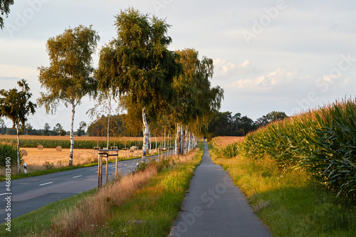 Ländliche Strassen. Landstrasse.

