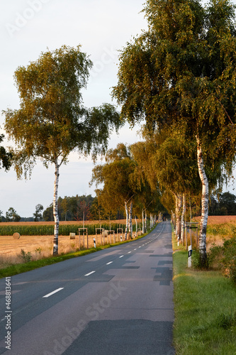 Ländliche Strassen. Landstrasse.
