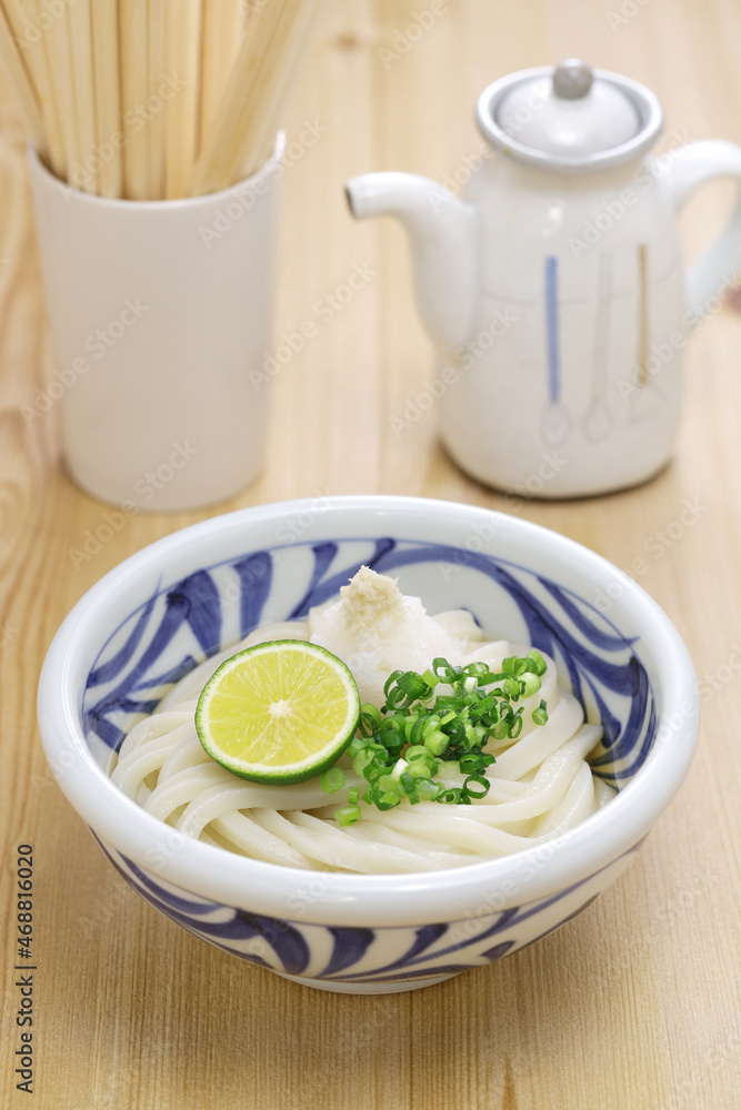 Hiyaoroshi Udon, chilled udon noodles with grated daikon radish and dashi soup. Japanese food Hiyaoroshi Udon, chilled udon noodles with grated daikon radish and dashi soup. Japanese food