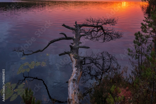 A very colorful sunrise on the northern lake Rybachye in the Leningrad region. Autumnal nature in  Russia. photo