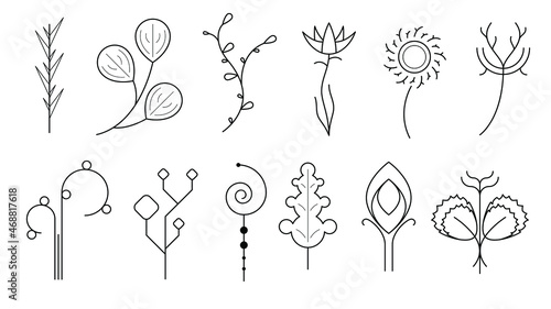 Abstract Set Doodle Elements Hand Drawn Collection Botanic Herbal Flora Leaf Branch Vine Flower Plant Elements F Vector Desgin Style