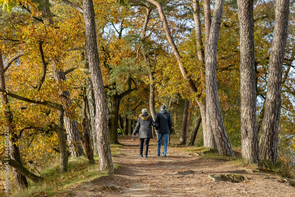 Couple seen from behind walking through autumn forest scene with colorful fall foliage paving the walk path and patches of blue sky seen through the trees Couple seen from behind walking through autumn forest scene with colorful fall foliage paving the walk path and patches of blue sky seen through the trees