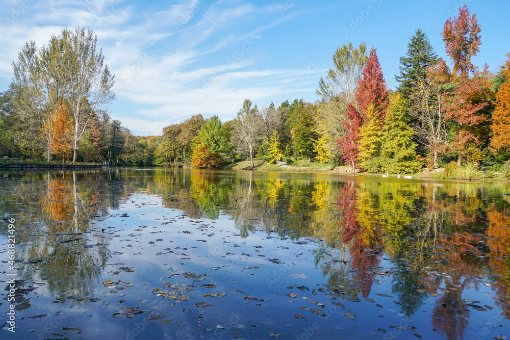reflection of colorful autumn trees on a calm lake under blue sky