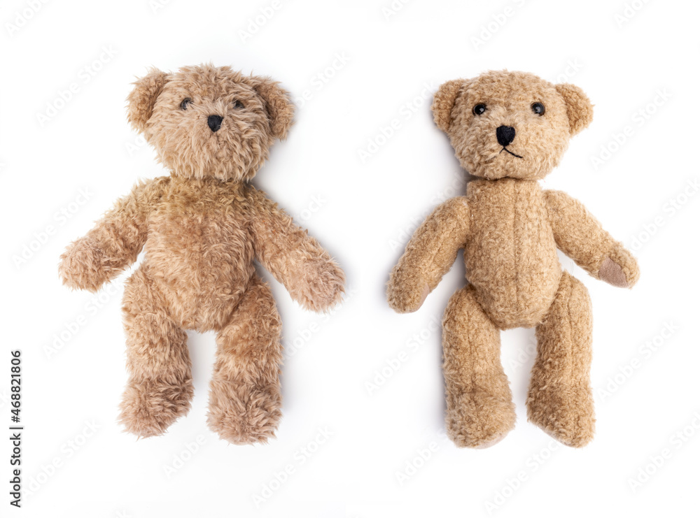 Zwei Teddybären liegend auf weissem Hintegrund Zwei Teddybären liegend auf weissem Hintegrund