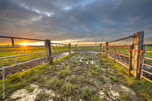 Sunset over gate in lowland meadow