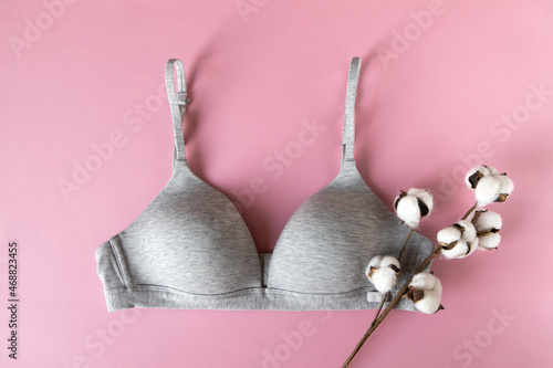 Wallpaper Mural Gray organic or recycled cotton bra with cotton branch on pastel pink background, top view, copy space, flat lay. Concept femininity, comfort, home clothes, underwear, natural textile, minimal style Torontodigital.ca
