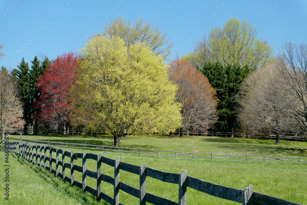 spring arrives with warm weather and colorful trees around a fenced in horse farm