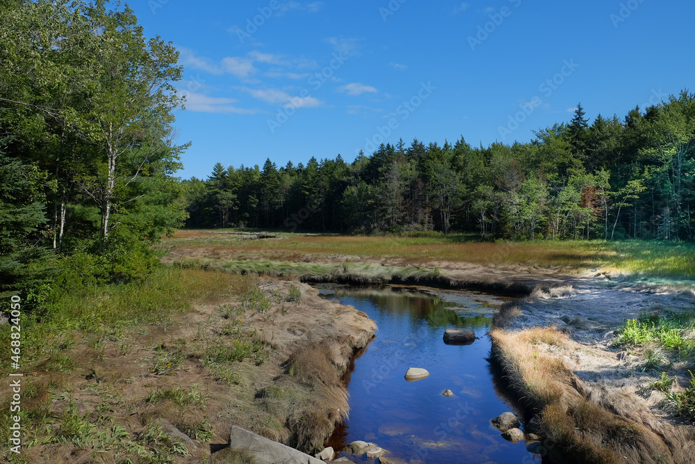 Low Tide exposing rocks, boulders and fallen trees in a Maine Marsh