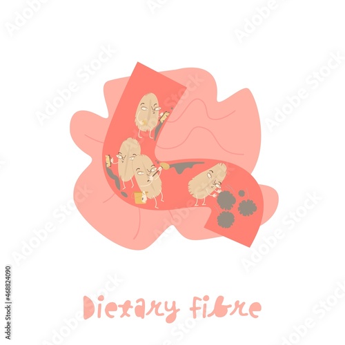 Dietary fibre. Cartoon character in a trendy style.