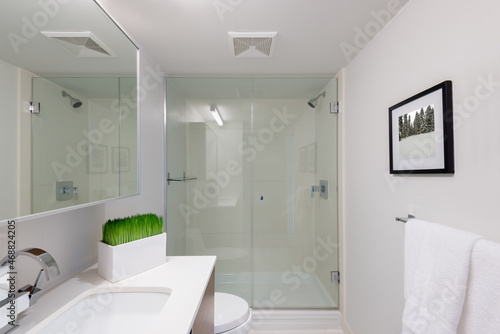 Interior design of a spacious and elegant bathroom