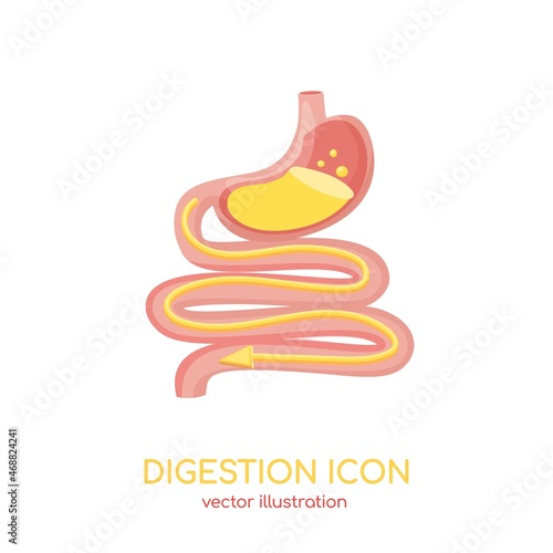 Digestive system. Gastrointestinal tract, stomach, intestine. Vector sign for ad of meds, supplements for good digestion