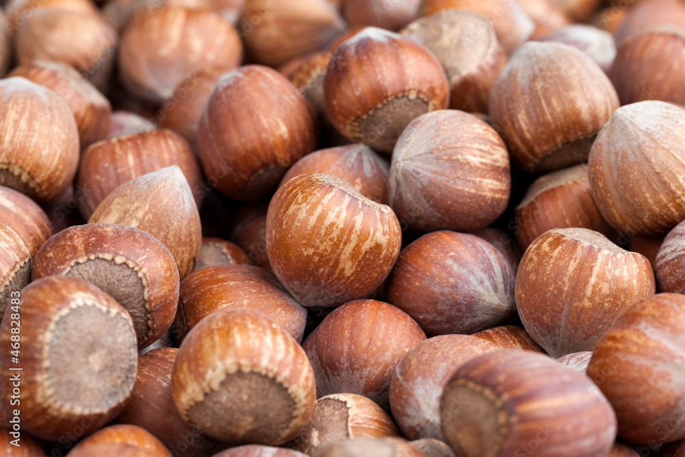 whole hazelnuts on a wooden table,in shell whole hazelnuts on a wooden table,in shell