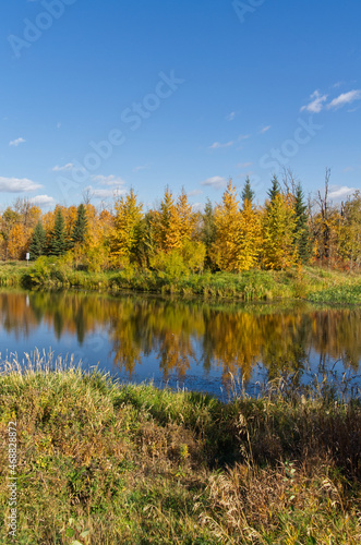 Autumn Forest with a Calm Pond