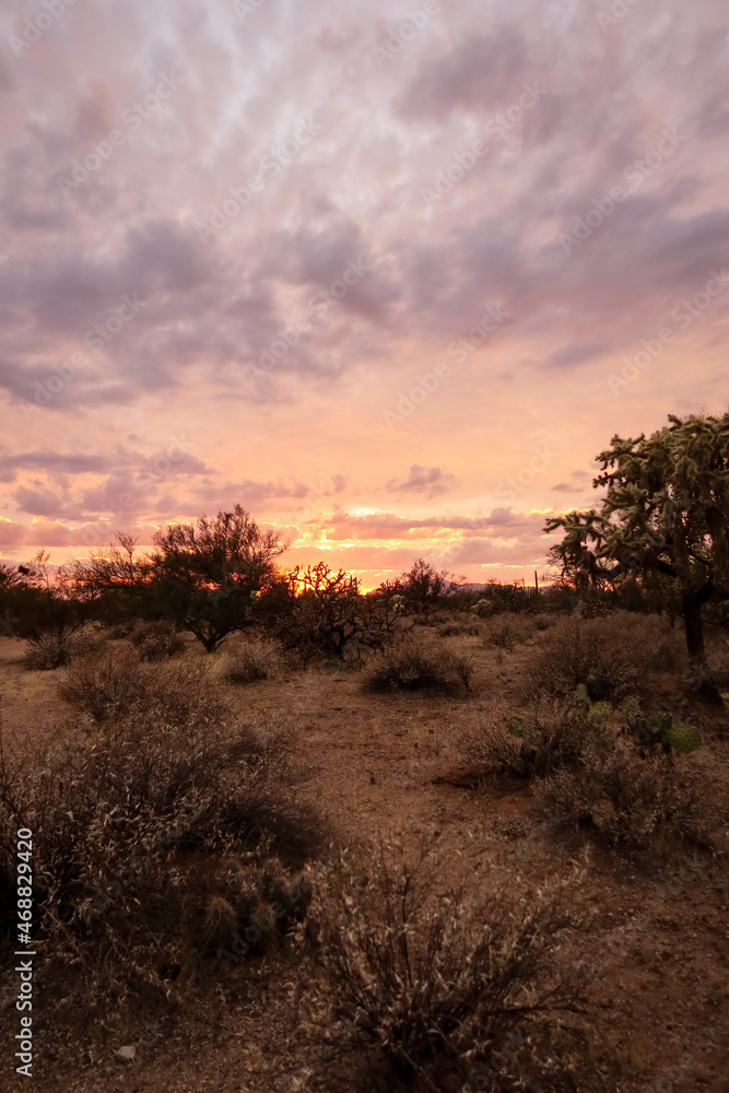 Obraz premium sunset in the desert