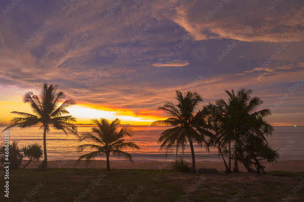aerial view scenery sunset above coconut trees during colorful .cloud in sunset on Karon beach Phuket Thailand. .Scene of Colorful red light in the sky background.