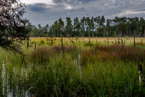 Fototapeta Naklejka Na Ścianę i Meble -  Krajobraz, lasy, łąki