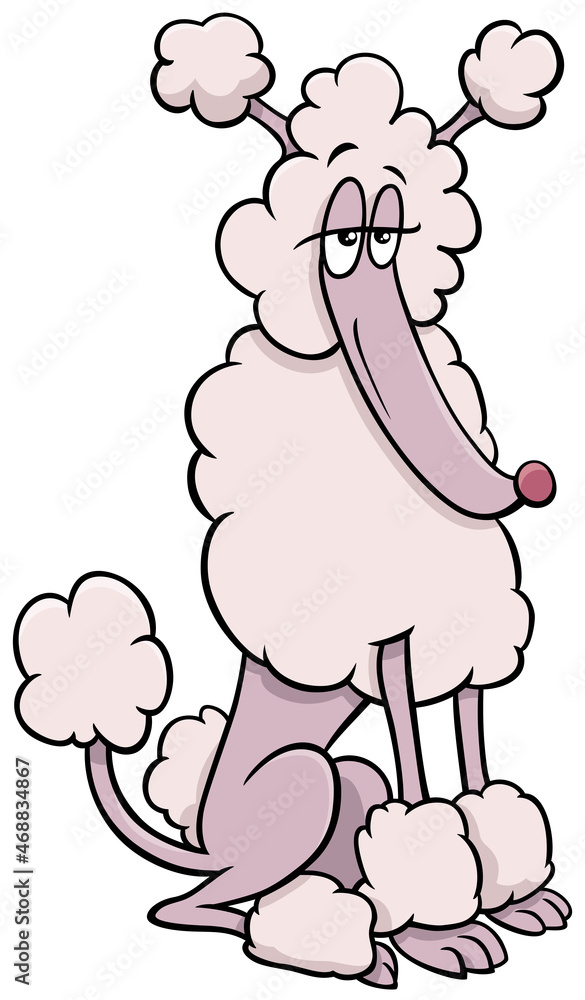 cartoon poodle purebred dog animal character cartoon poodle purebred dog animal character
