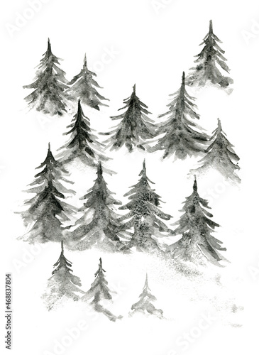 Beautiful watercolor background with gray coniferous fir forest. Mysterious monochrome pine trees illustration for winter Christmas design, isolated on white background