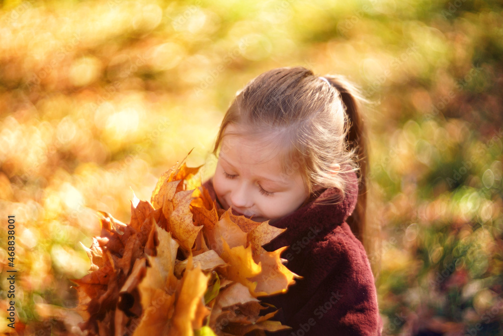 Portrait of a beautiful girl in a brown fur coat, in the hands of a girl autumn maple leaves, against the background of autumn foliation. High quality photo Portrait of a beautiful girl in a brown fur coat, in the hands of a girl autumn maple leaves, against the background of autumn foliation. High quality photo