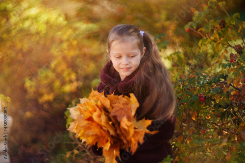 Portrait of a beautiful girl in a brown fur coat  in the hands of a girl autumn maple leaves  against the background of autumn foliation. High quality photo