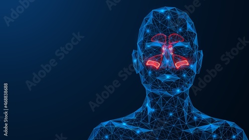 Sinusitis. Purulent inflammation of the para nasal sinuses. A low-poly model of interconnected lines and points. Blue background.