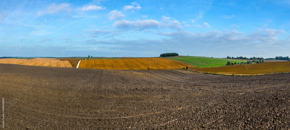 undulating hills, colorful pieces of land in autumn, arable land, soybeans, winter wheat