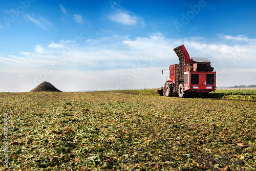 Beet harvester - collects sugar beets in the field at the end of the autumn s...