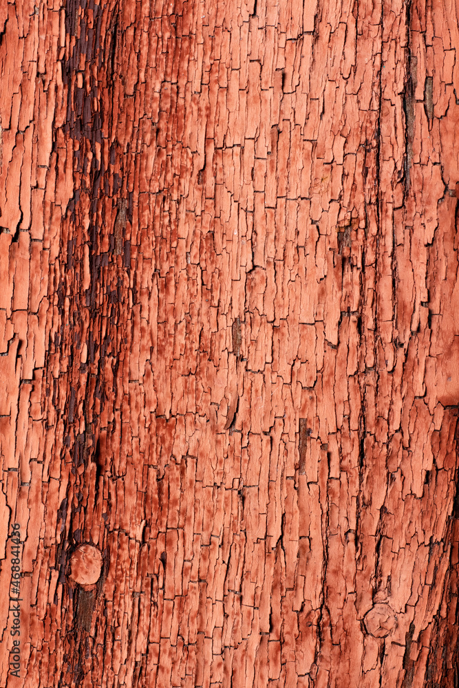 Obraz premium Seamless texture of old wood with cracks and pale red paint. Remains of old paint on the painted wood surface.