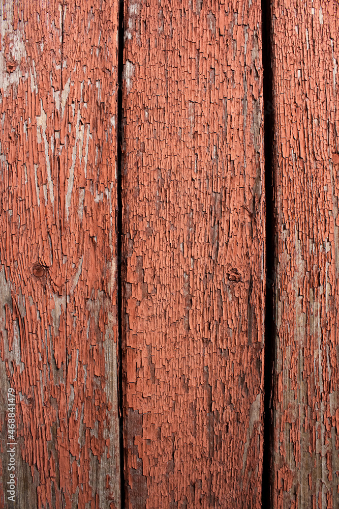 Fototapeta premium Texture of old wooden planks. Remains of old paint on the painted wood surface.