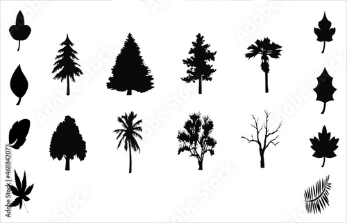 Silhouetted Trees and Leaves