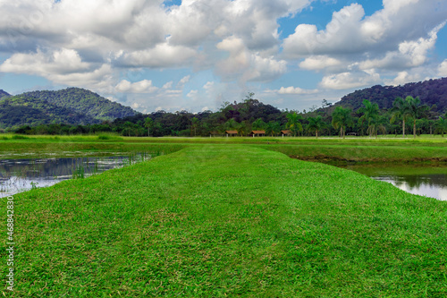 Natureza verde