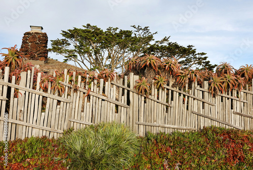 Fototapeta Naklejka Na Ścianę i Meble -  rustic fence