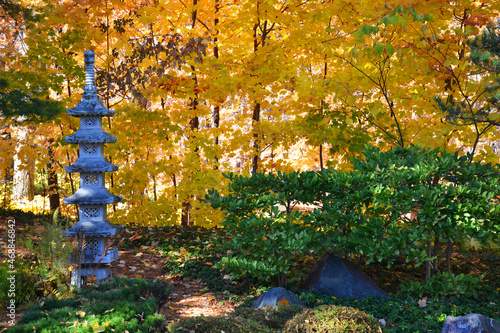 Autumn landscape in a park photo