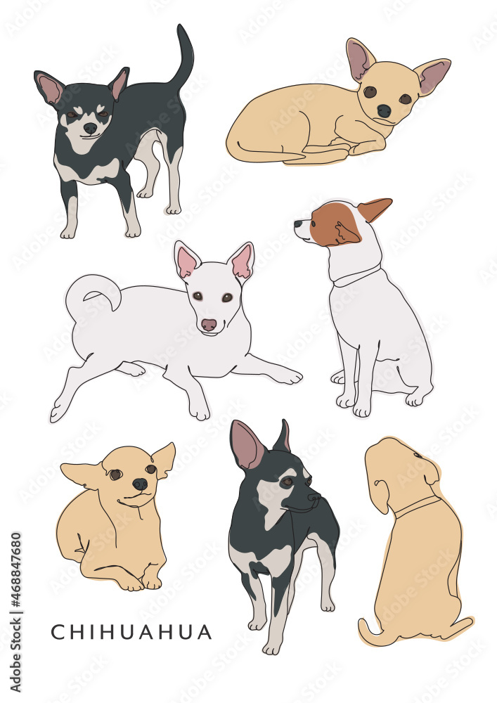 Chihuahua Dog Illustrations in Various Poses and Coat Markings, Colorings