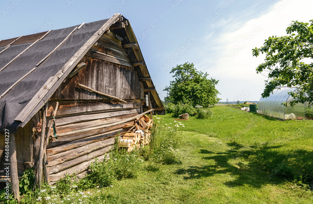Fototapeta premium Belarusian village. Country house. Compound. Nature of Belarus